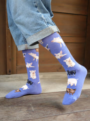 Pigs(M/Purple)