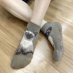 Cat Ankles - Himalayan Taupe