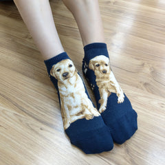 Dogs Ankles - Labrador