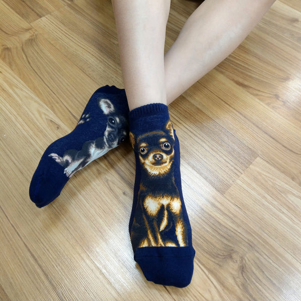 Dogs Ankles - Chihuahua Navy