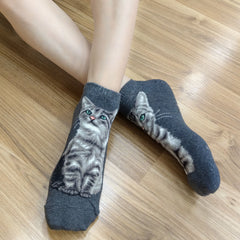 Cat Ankles - American Shorthair Gray