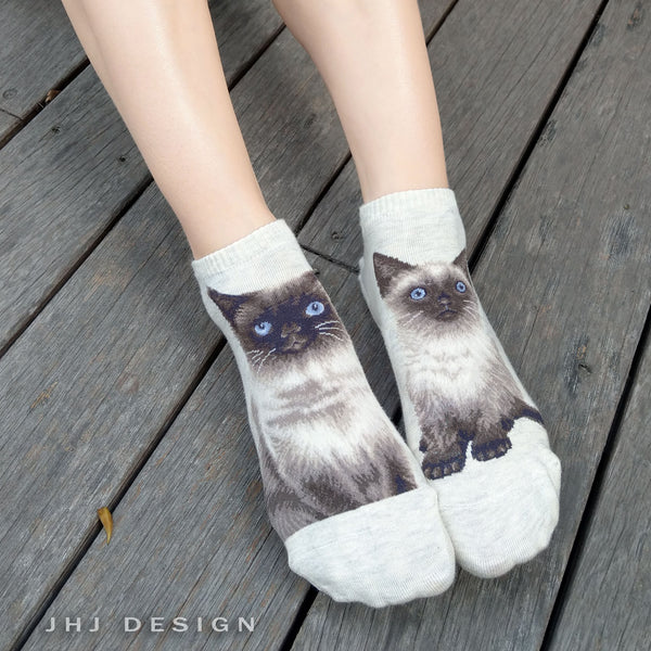 Cat Ankles - Himalayan Oatmeal