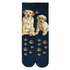 Dogs - Labrador Men Size