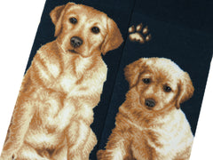 Dogs - Labrador Men Size