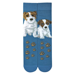Dogs - Jack Russell Terrier Men Size Success