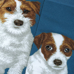 Dogs - Jack Russell Terrier Men Size Success