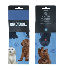 Poodle(L/Blue)