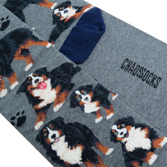 Bernese Mountain Dog (L/Grey)