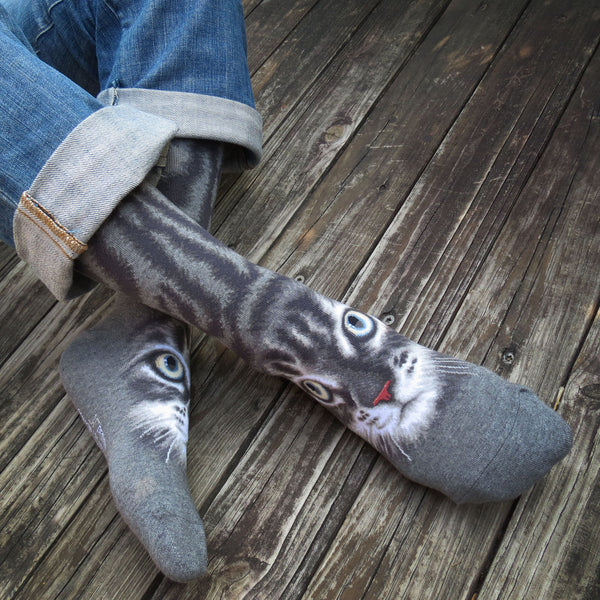 Cats - American short hair face