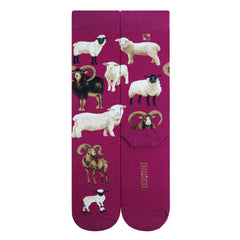 Sheep(M/Fuchsia)