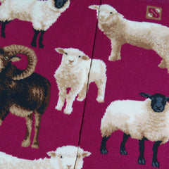 Sheep(M/Fuchsia)