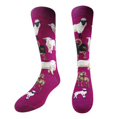 Sheep(M/Fuchsia)