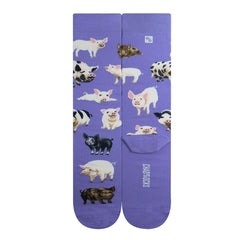 Pigs(M/Purple)