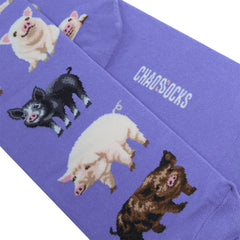Pigs(M/Purple)