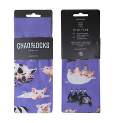 Pigs(M/Purple)