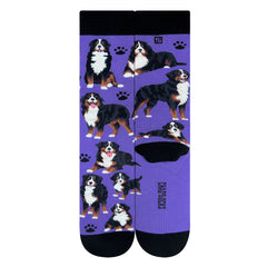 Bernese Mountain Dog (M/Purple)