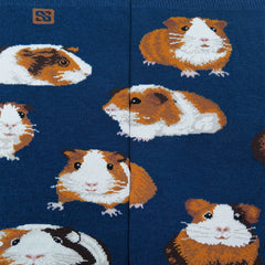 Guinea pig(M)