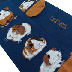 Guinea pig(M)