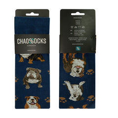 Bull dogs(Navy)