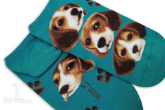 Dogs Ankles - Beagle Pup Face