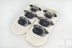 Dogs Ankles - Pugs