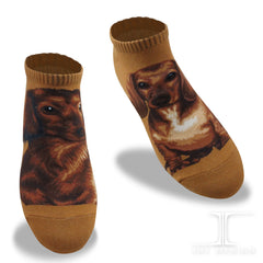 Dogs Ankles - Dachshund Brown