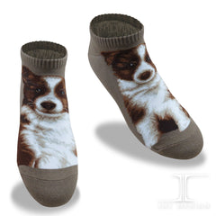 Dogs Ankles - Border Collie Taupe