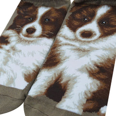 Dogs Ankles - Border Collie Taupe