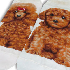 Dogs Ankles - Poodle