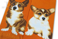 Dogs Ankles - Welsh Corgi One Size Yellow