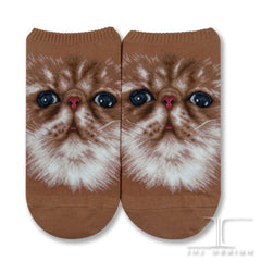 Cat Ankles - Persian Cat Face