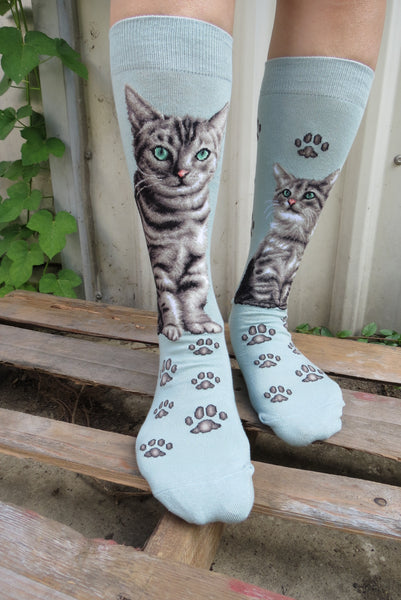Cats - American Short Hair Women Size