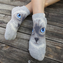 Cat Ankles - Ragdoll Face