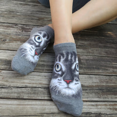 Cat Ankles - American short hair face