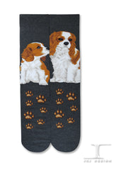 Dogs - Cavalier King Charles Men Size