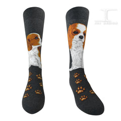 Dogs - Cavalier King Charles Men Size