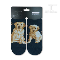 Dogs Ankles - Labrador