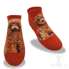 Dogs Ankles - Red Poodle