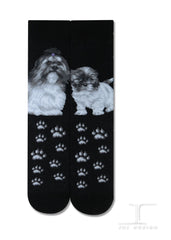 Dogs - Shih Tzu Men Size