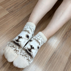 Wild Life Ankles Llama Socks