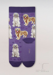 Dogs - Golden Retriever