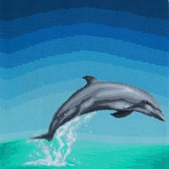 Waterworld - Dolphin
