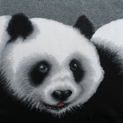 Wild Life - Panda