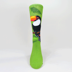 Wild Life - Toucan