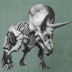 Dinosaurs - Triceratops