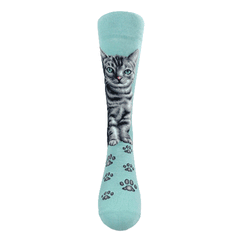Cats - American Short Hair Women Size