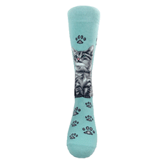 Cats - American Short Hair Women Size