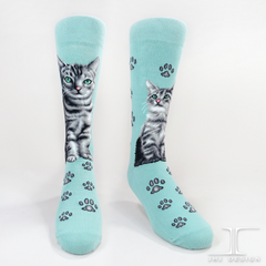 Cats - American Short Hair Women Size
