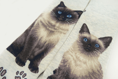Cats - Siamese Women Size