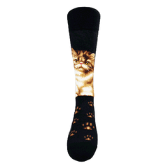 Cats - Persian Men Size